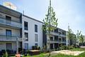 Moderne, bezugfertige 3-Zimmer-EG-Wohnung mit Terrasse und Garten - Ansicht der Außenanlagen (Whg. 6)