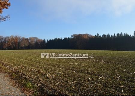 gut anfahrbare Ackerfläche - Titelbild