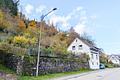 Interessante Immobilie mit großem Grundstück im ruhigen, von Natur umgebenen Sensbachtal! - Ansicht-S-mit-Garten