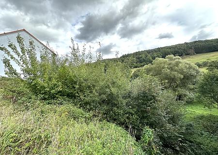 Baugrundstück mit Baugenehmigung für ein 4-Familienhaus in Heimbuchenthal - Straßenansicht