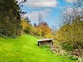 1- bis 2-Familien-Haus am Waldrand mit großem Grundstück und vielen Nutzungs-Möglichkeiten! - Ansicht Garten