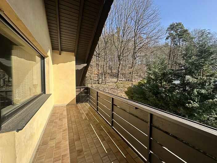 Wohnen inmitten der Natur–Hochwertiges Einfamilienhaus mit großem Grundstück in ruhiger Waldrandlage - Balkon DG