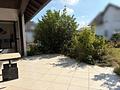 Schönes Zweifamilienhaus mit großer Einliegerwohnung auf großem Grundstück - EG Terrasse
