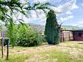 Viel Platz, viele Möglichkeiten - Mehrfamilienhaus mit Garten und Entwicklungspotenzial - Garten