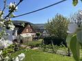 Hier entstehen Wohnträume – Haus mit Garten und schöner Aussicht - Garten