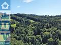 Über 9 Hektar Wald südlich von Miesbach - Luftbild des Waldes