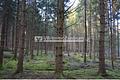 attraktives Waldgrundstück - Waldfläche