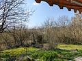 Haus in traumhafter, unverbaubarer Süd-Feldrand-Lage mit vielfältigsten Nutzungsmöglichkeiten! - Ausblick Terrasse SW