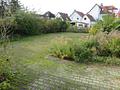 Charmantes Haus mit schönem Gartengrundstück und Nebengebäude - Blick in den Garten
