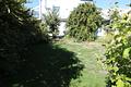 Freistehendes Einfamilienhaus mit Garage u. wunderbarem Garten in guter Lage von Bad Soden-Neuenhain - Garten