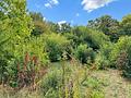 Familienglück mit Potenzial 
Doppelhaushälfte mit Garten in Dieburg - Garten