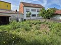 Charmantes Einfamilienhaus mit großem Grundstück und viel Potenzial - Garten