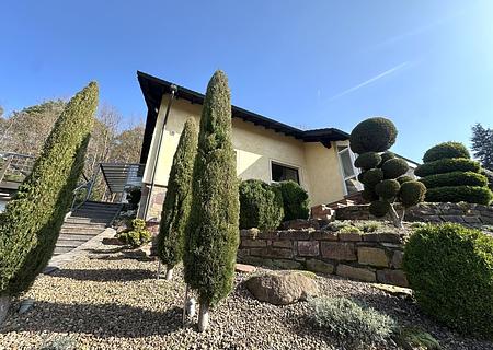 Wohnen inmitten der Natur–Hochwertiges Einfamilienhaus mit großem Grundstück in ruhiger Waldrandlage - Frontansicht