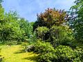 EFH mit großem Grundstück in naturnaher Lage und unverbaubarer Aussicht in Brombachtal! - Ansicht Garten 2