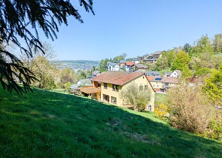 Ihre Chance: Multi-Talent mit 6.500 qm Grundstück, Wald- & Wiese in unverbaubarer Ortsrandlage! - Ansicht SO Ausblick Titel