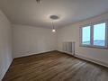 Penthouse im Herzen von Offenbach - 
Wohnen mit Gewerbe verbinden. - Zimmer 2