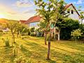 Einfamilienhaus mit Charakter, Scheune und viel Potenzial in Großheubach - Garten