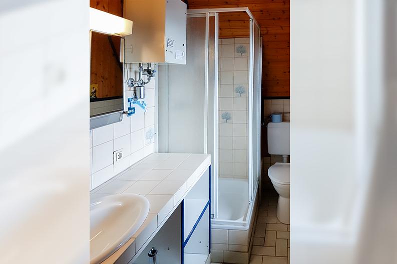 Liebhaberobjekt in ruhiger, sonniger Lage von Erbach- Erlenbach! - Hinterhaus-Duschbad