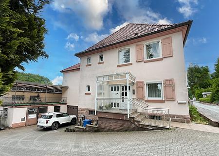 ***Der Platzriese für Selbstständige, Handwerker & Unternehmer*** - Hauszugang_Hofansicht