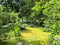 EFH mit großem Grundstück in naturnaher Lage und unverbaubarer Aussicht in Brombachtal! - Ansicht Garten 1
