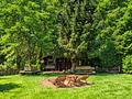 Mehr Natur geht nicht - Wohnen, wo andere Urlaub machen in absoluter Ruhe, umgeben von Wald & Wiese! - Garten 