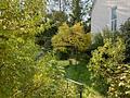 Seltenes Schmuckstück mit Charme und Geschichte – zentrales Ein- oder Zweifamilienhaus mit Garten - Garten