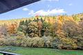 Interessante Immobilie mit großem Grundstück im ruhigen, von Natur umgebenen Sensbachtal! - Aussicht-NO
