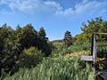 Mehr Natur geht nicht - Wohnen, wo andere Urlaub machen in absoluter Ruhe, umgeben von Wald & Wiese! - Aussicht Terrasse