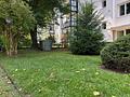 Ihr neues Projekt mit Fernblick – 
Wohnung in Bockenheim zum Selbstgestalten - Grünfläche