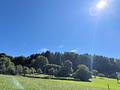 Über 9 Hektar Wald südlich von Miesbach - Ansicht des Waldes von Nord-West