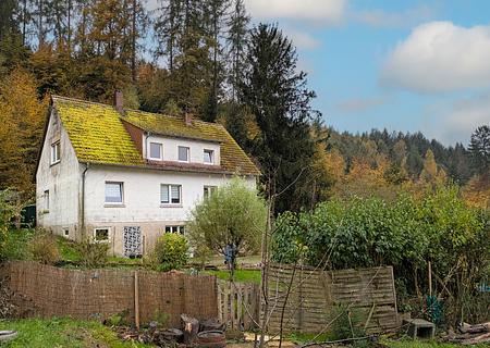 Hobby-Handwerker aufgepasst: Haus am Waldrand mit großem Grundstück - viele Nutzungs-Möglichkeiten! - Ansicht NO