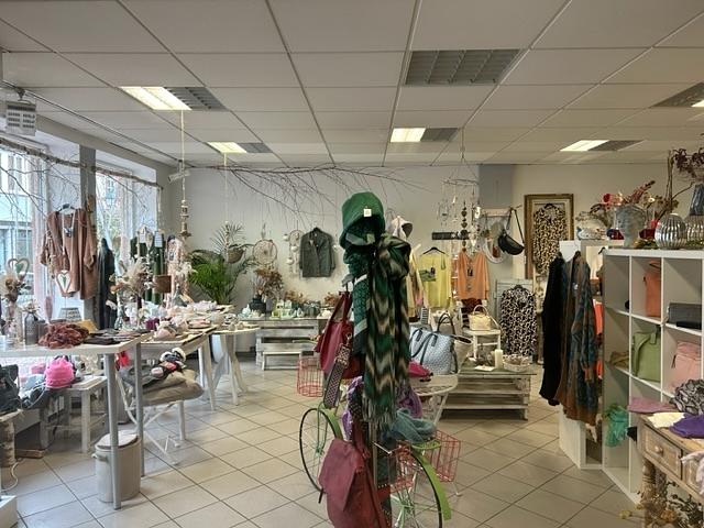 Helle Gewerbefläche mit großzügiger Maisonette-Wohnung und Ausbaupotenzial in der Perle des Mains - EG_Gewerbefläche