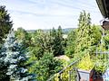 EFH mit großem Grundstück in naturnaher Lage und unverbaubarer Aussicht in Brombachtal! - Aussicht Balkon SW