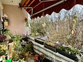 Eigentumswohnung mit 3 Zimmer
Balkon und Garage
(gut vermietet) - Balkon