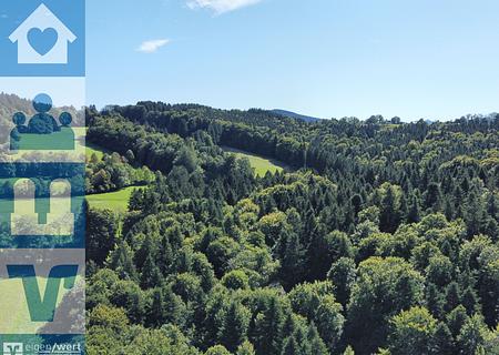 Über 9 Hektar Wald südlich von Miesbach - Luftbild des Waldes