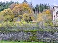 Interessante Immobilie mit großem Grundstück im ruhigen, von Natur umgebenen Sensbachtal! - Ansicht-Garten