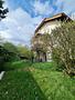 3FH mit kleiner Gewerbefläche in Neu-Anspach! - Gartenansicht