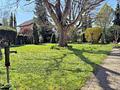 Familienfreundliche Doppelhaushälfte mit großem Garten und Entwicklungspotential - Garten Richtung Süden