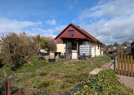 Aufgepasst: Einfamilienhaus mit schönem Garten in Feldrandnähe! - Ansicht S Garten