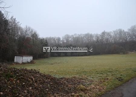 landwirtschaftliche Fläche - Wiese - Titelbild