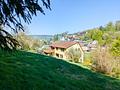 Ihre Chance: Multi-Talent mit 6.500 qm Grundstück, Wald- & Wiese in unverbaubarer Ortsrandlage! - Ansicht SO Ausblick Titel