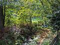 Mehr Natur geht nicht - Wohnen, wo andere Urlaub machen in absoluter Ruhe, umgeben von Wald & Wiese! - Bachlauf