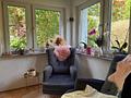 Ihr Eigenheim auf großem Grundstück für Gartenfreunde! - Platz zum Lesen