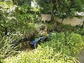 Exklusive Haus-im-Haus-Wohnung mit traumhaftem Privatgarten in Bestlage von Sachsenhausen - Garten Teich