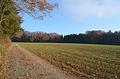 gut anfahrbare Ackerfläche - Zufahrt